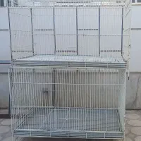 قفس عروس هلندی