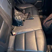 چانگان مدل ۹۷ بیرنگ|خودرو سواری و وانت|شهریار, شهریار|دیوار