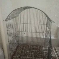 قفس بزرگ پرندگان