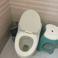 توالت فرنگی مروارید
