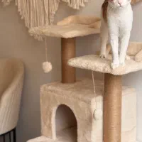 خانه گربه (اسکرچر گربه)