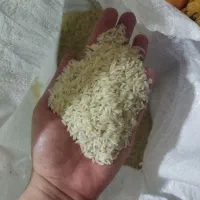 برنج ایرانی طارم دم سیاه مینودشت