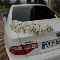 گل آرایی ماشین عروس در محل شما|خدمات پذیرایی، مراسم|تهران, مسعودیه|دیوار