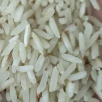 برنج فجر دانه بلند معطر خوش طعم و خوش پخت