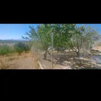 فنس کشی صفر تا صد و ساخت اتاقک|خدمات باغبانی و درختکاری|سامان, |دیوار