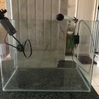 اکواریم شرکتی