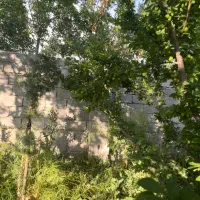 2000متر باغ محدوده حکیم آباد|فروش زمین و ملک کلنگی|فشاپویه, |دیوار