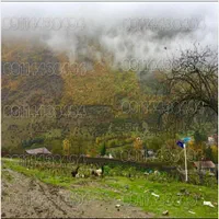 زمین بافت 100درصد مسکونی نزدیک ابگرم معدنی لاویج|فروش زمین و ملک کلنگی|نور, |دیوار