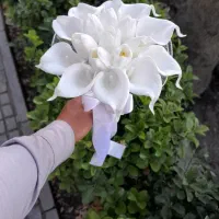 فروش ویژه لاله لمسی و شیپوری وغیره