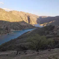 پژو روآ (ROA) بنزینی، مدل ۱۳۸۸