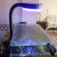 آکواریوم و لوازم