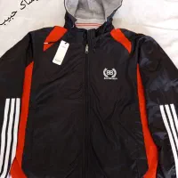 عروس هلندی|پرنده|سرپل ذهاب, |دیوار