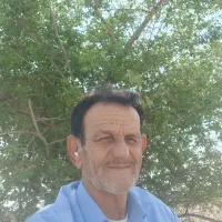 فروش نخل