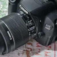 دوربین ۷۰۰ دی کانونن|دوربین عکاسی و فیلمبرداری|آق قلا, |دیوار