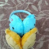 بلوز پاییزه|لباس|شوش, |دیوار