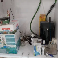 اکواریوم ریملس دیسکس|ماهی|تهران, آبشار|دیوار