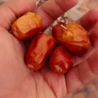 سنجد حاج حسینی اعلا