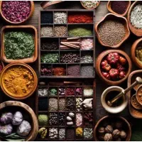 جذب بازاریاب (خانم و آقا)