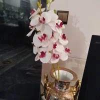 دوشاخه گل