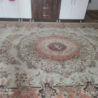 فرش ۱۲متری|فرش|ابهر, |دیوار