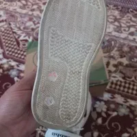 کفش بچگانه|کیف، کفش، کمربند|شیروان (خراسان), |دیوار