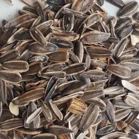 کنجاله تخمه آفتابگردان و پوست بادام زمینی