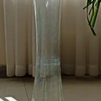 گلدان شیشه ای بلند|گل و گیاه طبیعی|شاهین‌شهر, فردوسی|دیوار