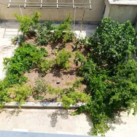 اجاره روزانه آپارتمان ۱۱۵ متری|اجارهٔ کوتاهمدت آپارتمان و سوئیت|ساوه, |دیوار