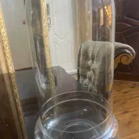 گلدان شیشه تراریوم