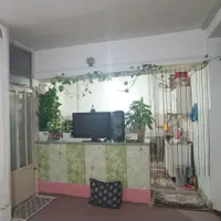 خانه اجاره ای|اجارهٔ خانه و ویلا|وحیدیه, |دیوار