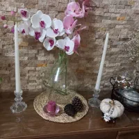 دو شاخه گل ارکیده