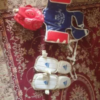 لباس و هوگو ورزشی تکواندو