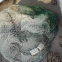 جل میگی ۱۴یغل