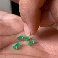 مجموعه جواهرات و سنگ های قیمتی و نیمه قیمتی|جواهرات|پرند, فاز ۵|دیوار