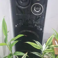 باند دو قلو اونیکس