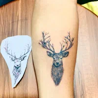 تتوارتیست|خدمات آموزشی|چابهار, |دیوار