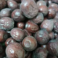 فروش کلی و جزئ عناب در بیرجندومشهد