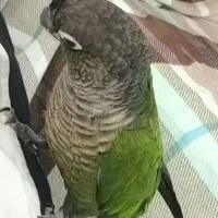 «گمشده»مژدگانی داده میشود