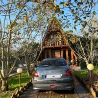 ۲۰۶ اتومات اس دی