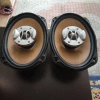 باند پایونیر خانگی
