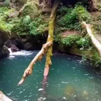 توریک روزه سموش رودسر پنجشنبه 15مرداد
