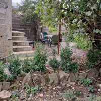 سوئیت-60متری
