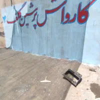 استخدام کارواش