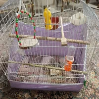 فروش قفس طوطی