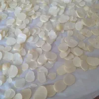 موسیر درجه یک|خوردنی و آشامیدنی|مبارکه, |دیوار