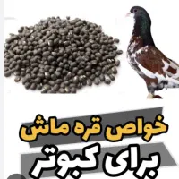 قرماش نهاوندی بار نو|لوازم جانبی حیوانات|تهران, هرندی|دیوار