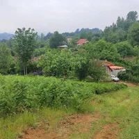 زمین در سطلسر لاهیجان|فروش زمین و ملک کلنگی|لاهیجان, لیل|دیوار