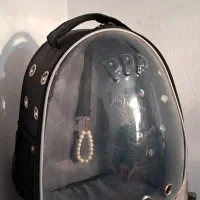 کیف حیوانات