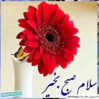 ثبت نام بیمه ماشین و موتور سیکلت