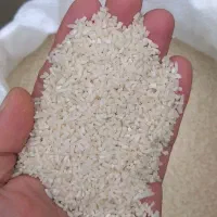 برنج هاشمی|خوردنی و آشامیدنی|سلمانشهر, |دیوار